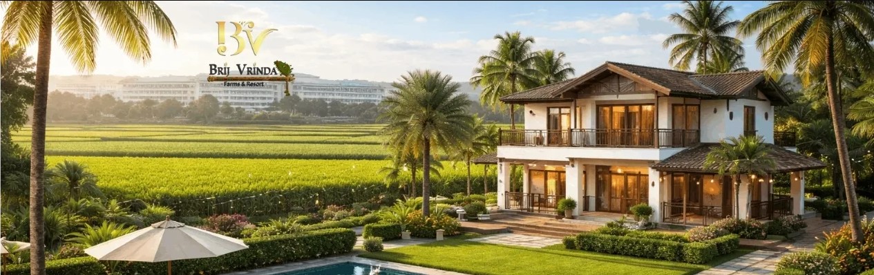 6d6b3012-e709-4c45-a00d-df4b3befc518